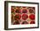 Canada, Quebec, Montreal. Little Italy, Marche Jean Talon Market, berries-Walter Bibikow-Framed Photographic Print