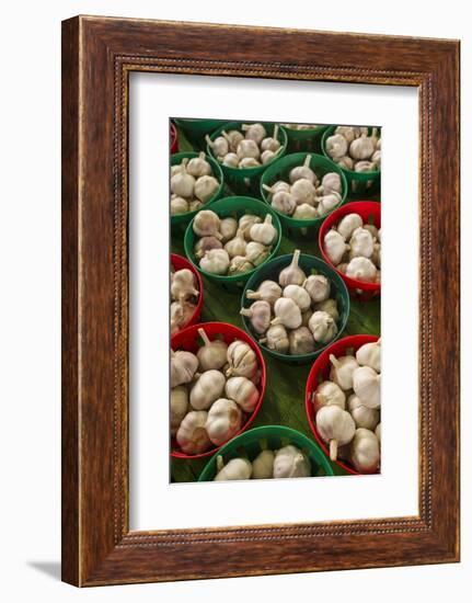 Canada, Quebec, Montreal. Little Italy, Marche Jean Talon Market, cloves of garlic-Walter Bibikow-Framed Photographic Print