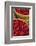 Canada, Quebec, Montreal. Little Italy, Marche Jean Talon Market, cranberries-Walter Bibikow-Framed Photographic Print