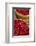 Canada, Quebec, Montreal. Little Italy, Marche Jean Talon Market, cranberries-Walter Bibikow-Framed Photographic Print