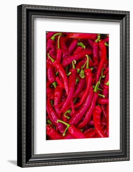 Canada, Quebec, Montreal. Little Italy, Marche Jean Talon Market, peppers-Walter Bibikow-Framed Photographic Print