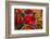 Canada, Quebec, Montreal. Little Italy, Marche Jean Talon Market, peppers-Walter Bibikow-Framed Photographic Print