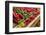 Canada, Quebec, Montreal. Little Italy, Marche Jean Talon Market, peppers-Walter Bibikow-Framed Photographic Print