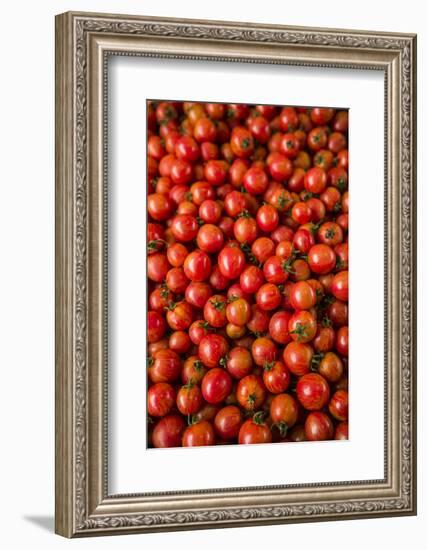 Canada, Quebec, Montreal. Little Italy, Marche Jean Talon Market, tomatoes-Walter Bibikow-Framed Photographic Print