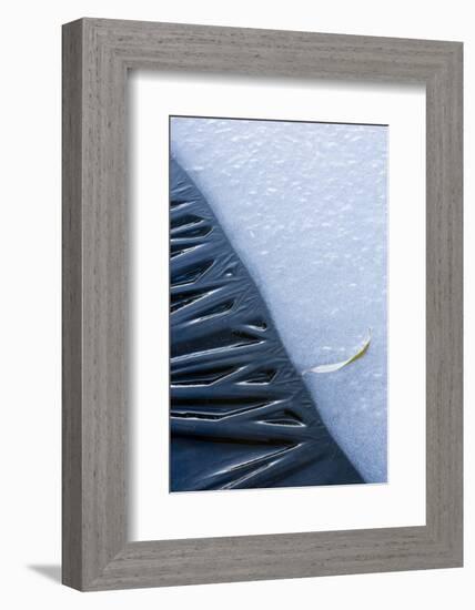 Canada, Quebec, Mount St-Bruno Conservation Park. Close-Up of Lakeshore Ice-Jaynes Gallery-Framed Photographic Print