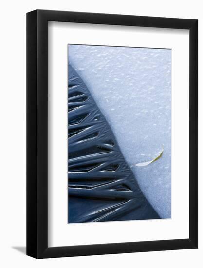 Canada, Quebec, Mount St-Bruno Conservation Park. Close-Up of Lakeshore Ice-Jaynes Gallery-Framed Photographic Print