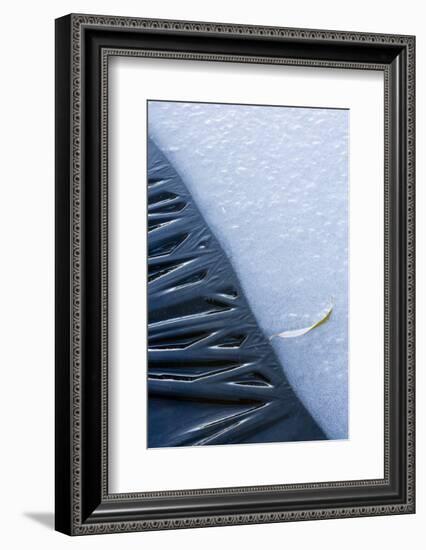 Canada, Quebec, Mount St-Bruno Conservation Park. Close-Up of Lakeshore Ice-Jaynes Gallery-Framed Photographic Print