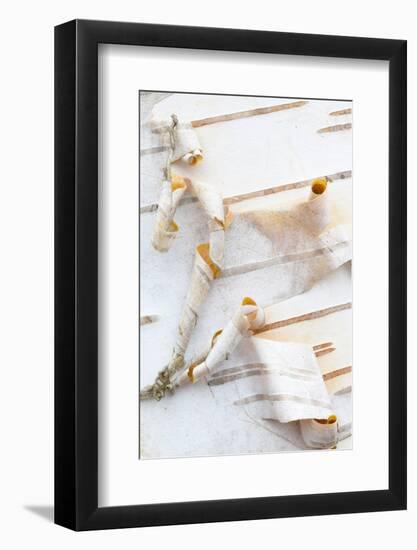 Canada, Quebec, Mount St-Bruno Conservation Park. White Birch Bark Detail-Jaynes Gallery-Framed Photographic Print