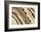 Canada. Rock patterns.-Jaynes Gallery-Framed Photographic Print