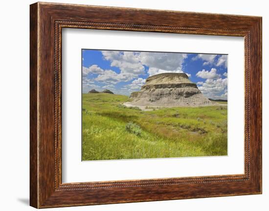 Canada, Saskatchewan, Grasslands National Park. Killdeer Badlands formations.-Jaynes Gallery-Framed Photographic Print