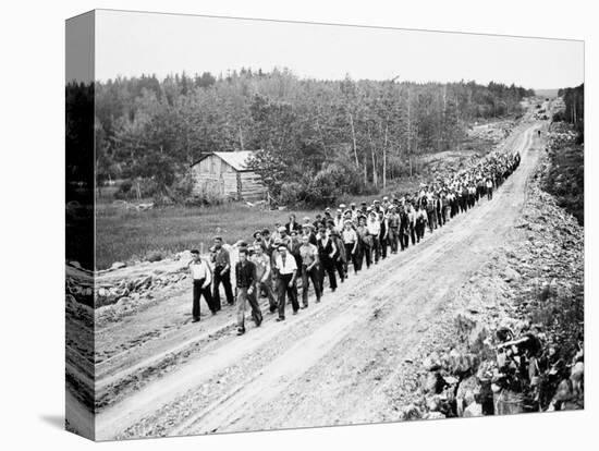 Stretched Canvas Print, , large