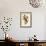 Canada Warblers-John James Audubon-Framed Giclee Print displayed on a wall