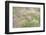 Canada, Yukon. Foxtail grass close-up.-Jaynes Gallery-Framed Photographic Print