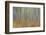 Canada, Yukon, Kluane National Park. Abstract motion blur of aspen trees.-Jaynes Gallery-Framed Photographic Print