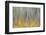 Canada, Yukon, Kluane National Park. Abstract of aspen trees.-Jaynes Gallery-Framed Photographic Print