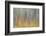 Canada, Yukon, Kluane National Park. Abstract of aspen trees.-Jaynes Gallery-Framed Photographic Print