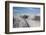 Canada, Yukon, St. Elias Mountains and Kaskawulsh Glacier.-Jaynes Gallery-Framed Photographic Print