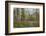 Canada, Yukon Territory, Kluane National Park. Trail through aspen forest.-Jaynes Gallery-Framed Photographic Print