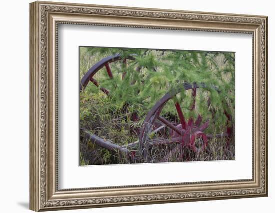 Canada, Yukon Territory. Old wagon wheels in grass.-Jaynes Gallery-Framed Photographic Print