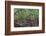 Canada, Yukon Territory. Old wagon wheels in grass.-Jaynes Gallery-Framed Photographic Print