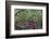 Canada, Yukon Territory. Old wagon wheels in grass.-Jaynes Gallery-Framed Photographic Print