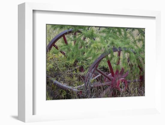 Canada, Yukon Territory. Old wagon wheels in grass.-Jaynes Gallery-Framed Photographic Print