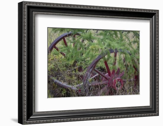 Canada, Yukon Territory. Old wagon wheels in grass.-Jaynes Gallery-Framed Photographic Print