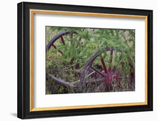 Canada, Yukon Territory. Old wagon wheels in grass.-Jaynes Gallery-Framed Photographic Print