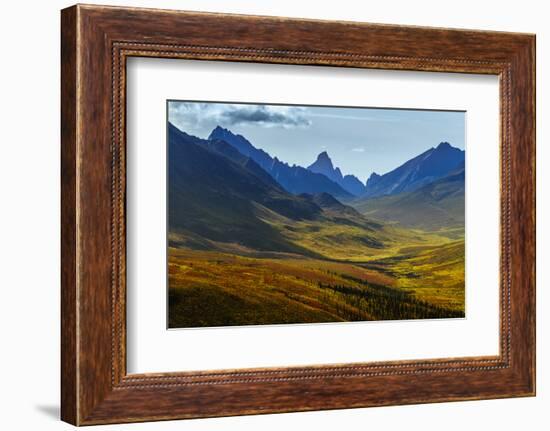 Canada, Yukon, Tombstone Territorial Park, Fall color and mountain valley views.-Yuri Choufour-Framed Photographic Print