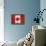 Canada-Artpoptart-Framed Premier Image Canvas displayed on a wall