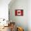 Canada-Artpoptart-Framed Premier Image Canvas displayed on a wall