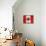 Canada-Artpoptart-Framed Premier Image Canvas displayed on a wall