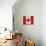 Canada-Artpoptart-Mounted Giclee Print displayed on a wall