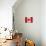 Canada-Artpoptart-Giclee Print displayed on a wall