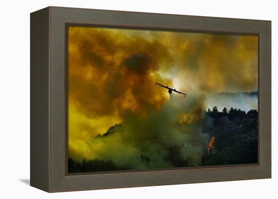 Canadair Aircraft in Action - Fighting for the Salvation of the Forest.-Antonio Grambone-Framed Premier Image Canvas