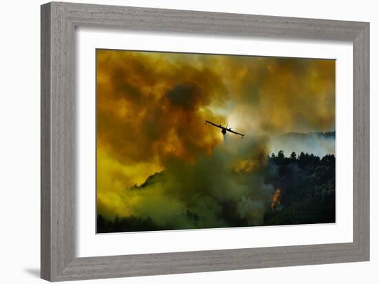 Canadair Aircraft in Action - Fighting for the Salvation of the Forest.-Antonio Grambone-Framed Photographic Print