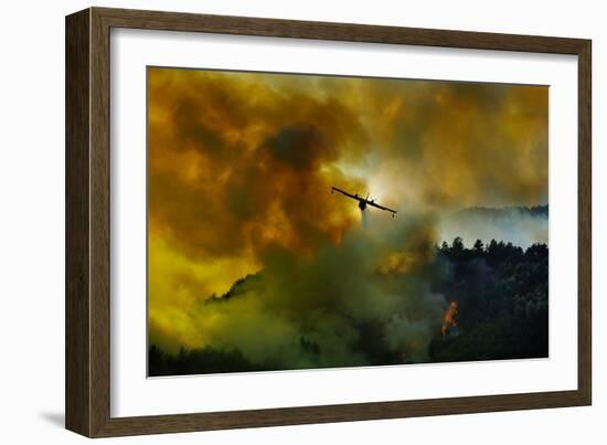 Canadair Aircraft in Action - Fighting for the Salvation of the Forest.-Antonio Grambone-Framed Photographic Print