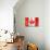 Canadian Flag-daboost-Art Print displayed on a wall