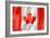 Canadian Flag-daboost-Framed Art Print