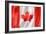 Canadian Flag-daboost-Framed Art Print