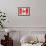 Canadian Flag-daboost-Framed Art Print displayed on a wall