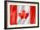 Canadian Flag-daboost-Framed Art Print