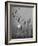 Canadian Geese-Andreas Feininger-Framed Photographic Print