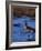 Canadian Goose in Water, CO-Elizabeth DeLaney-Framed Photographic Print