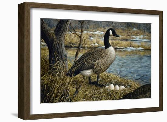 Canadian Goose-Jeff Tift-Framed Giclee Print