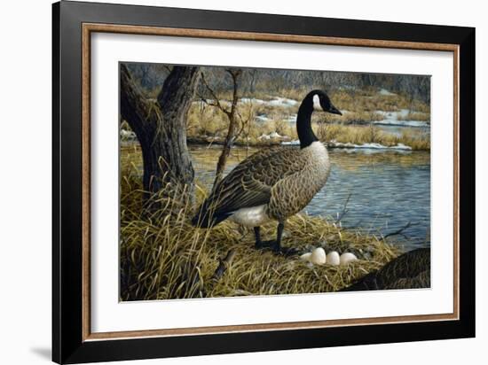 Canadian Goose-Jeff Tift-Framed Giclee Print