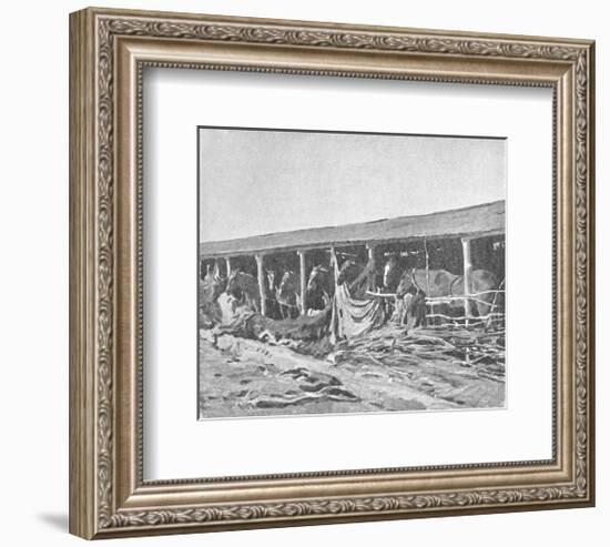 Canadian Horses In Shelters-Sir Alfred Munnings-Framed Premium Giclee Print