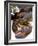 Canadian Lobster-Peter Medilek-Framed Photographic Print