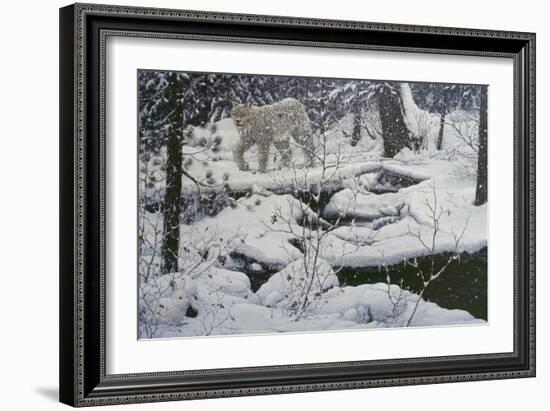 Canadian Lynx and Snowshoe Hare-Jeff Tift-Framed Giclee Print