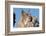 Canadian Lynx with Young-W^ Perry Conway-Framed Photographic Print